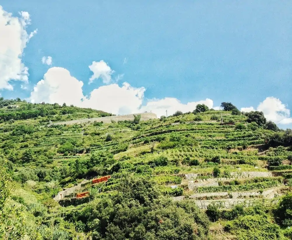 The Hike-Cinque Terre-Italie