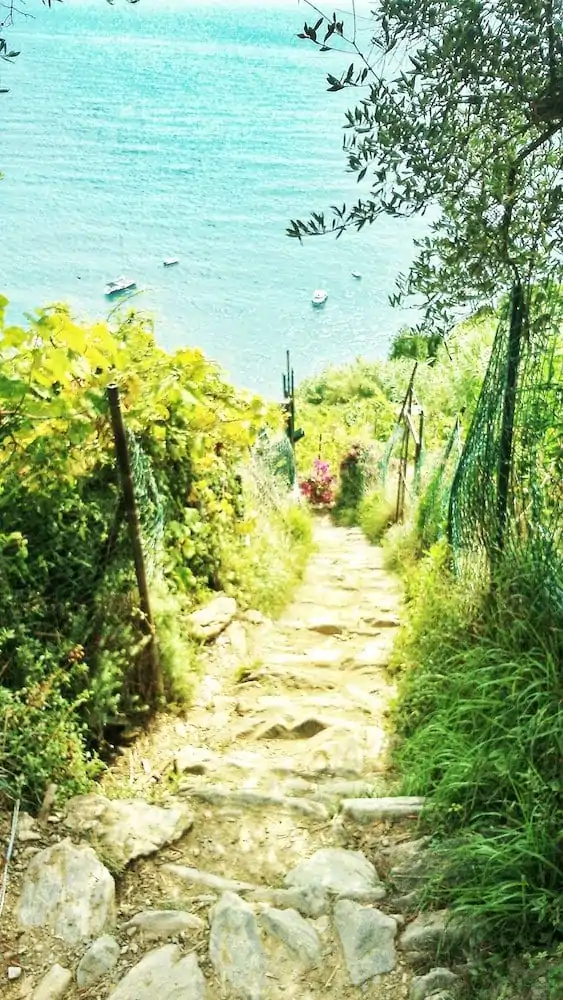 The Hike-Cinque Terre-Italie