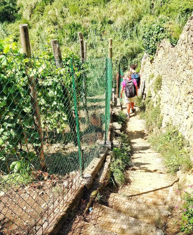 The Hike-Cinque Terre-Italie