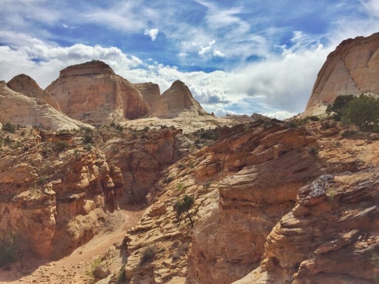 Capitol Reef 6