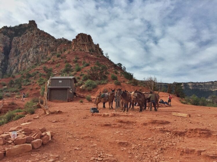 South Kaibab Trail 6