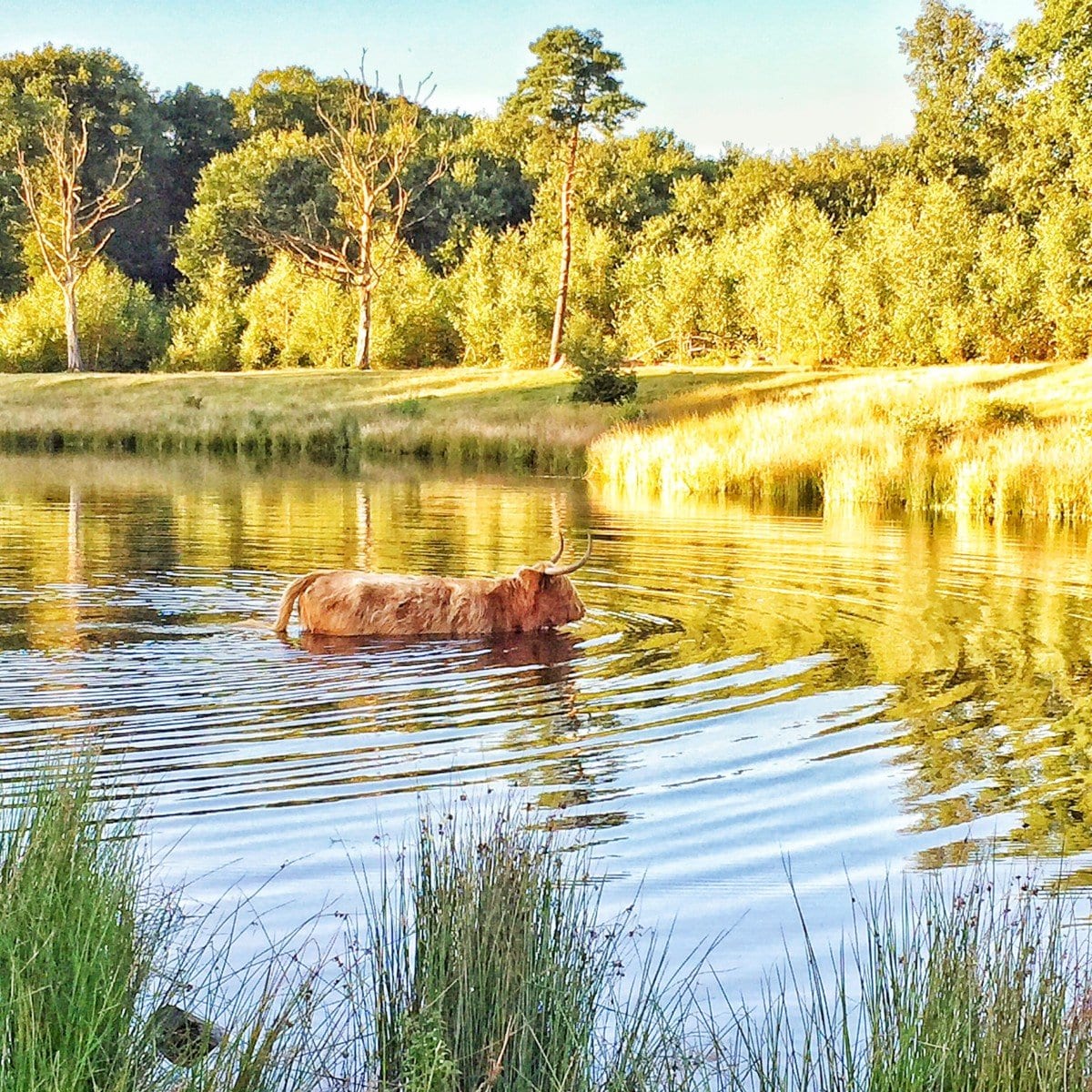 Surae-Dorst-The Hike