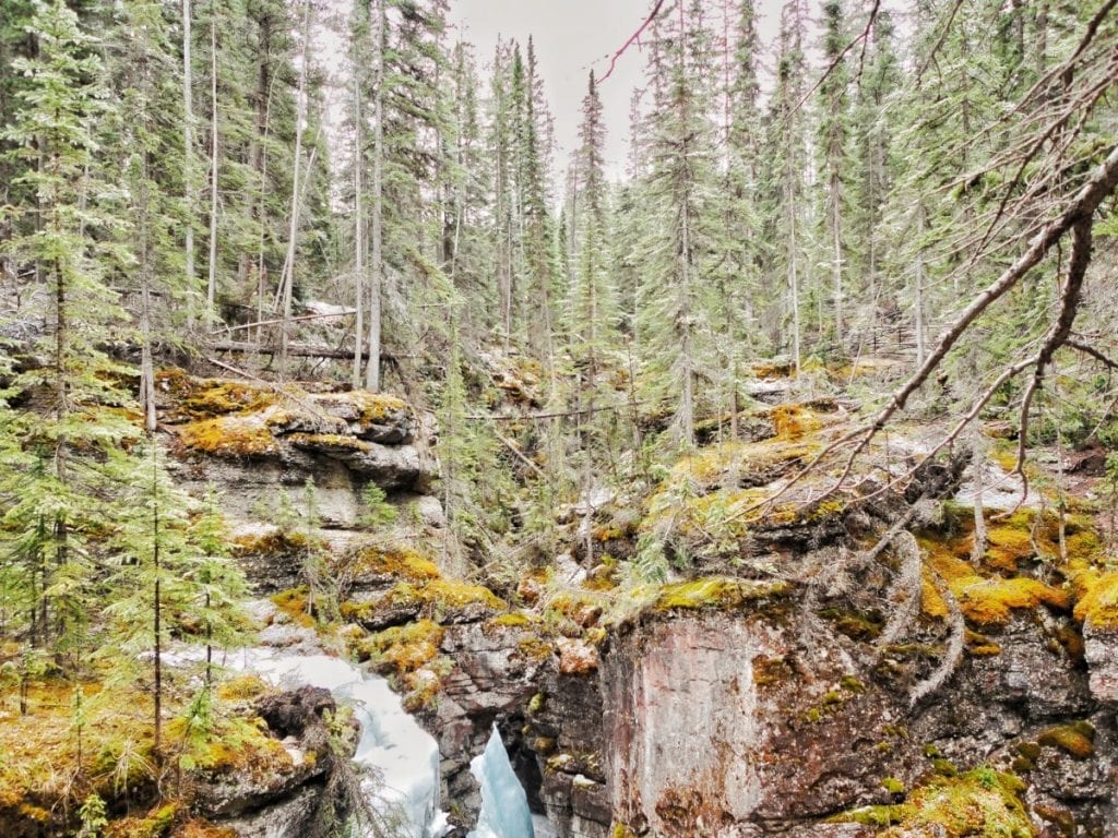 Maligne Canyon-The Hike