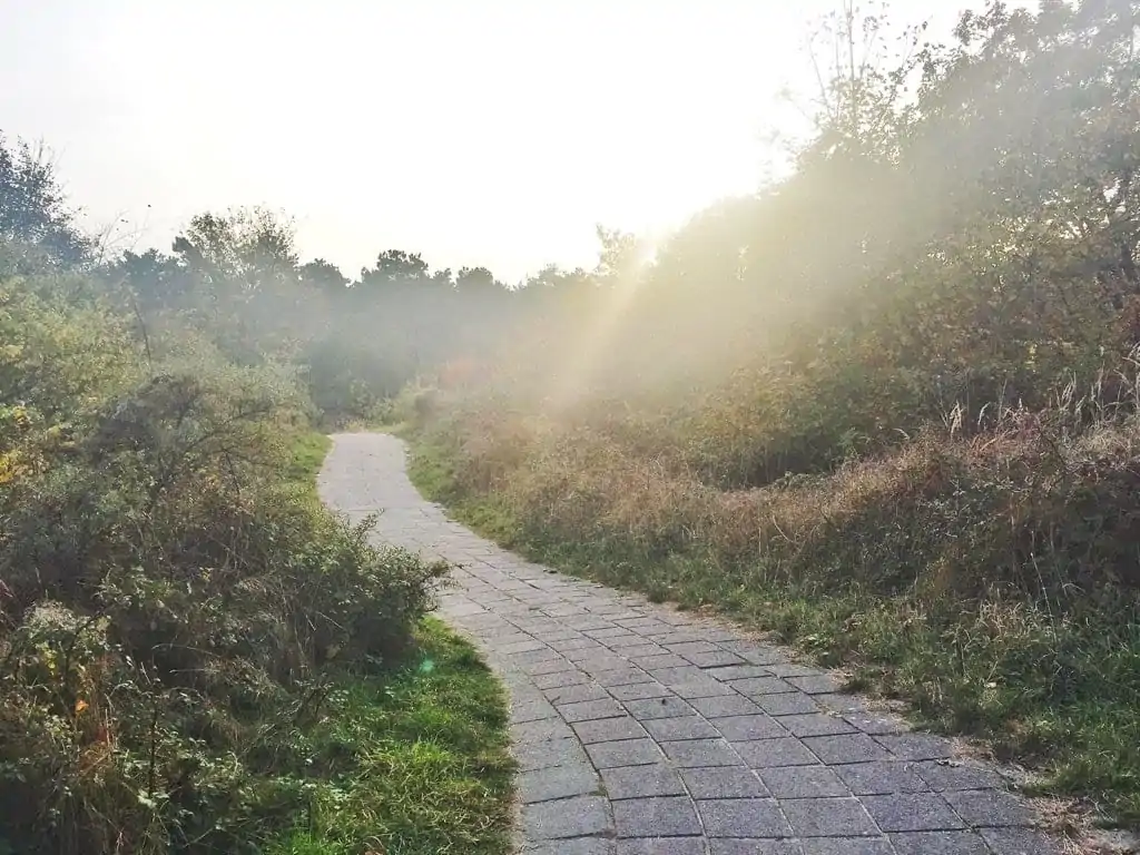 mooie strandwandeling boswandeling