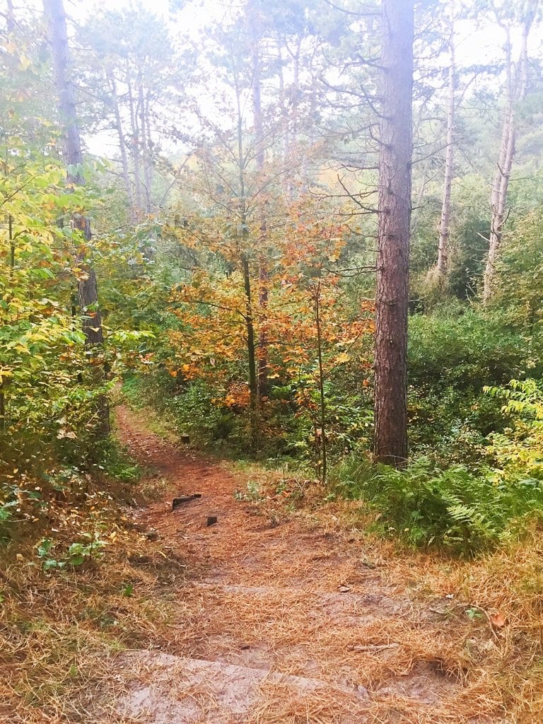 mooie strandwandeling duinen