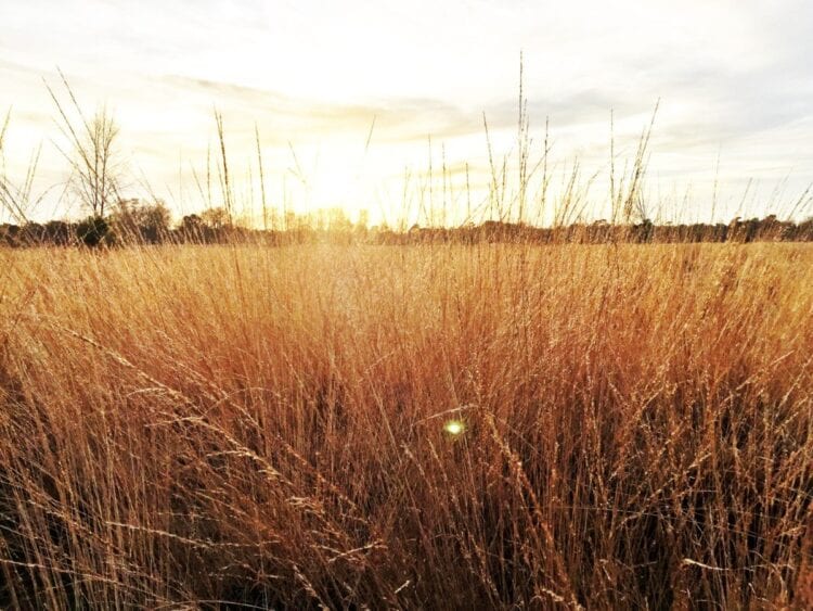 loonse en drunense duinen-The Hike-1