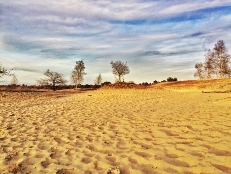 loonse en drunense duinen-The Hike-2