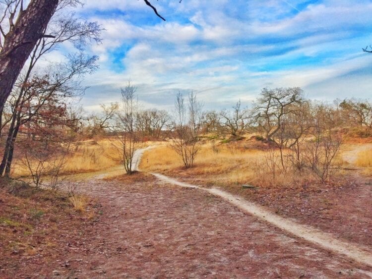 loonse en drunense duinen-The Hike-4