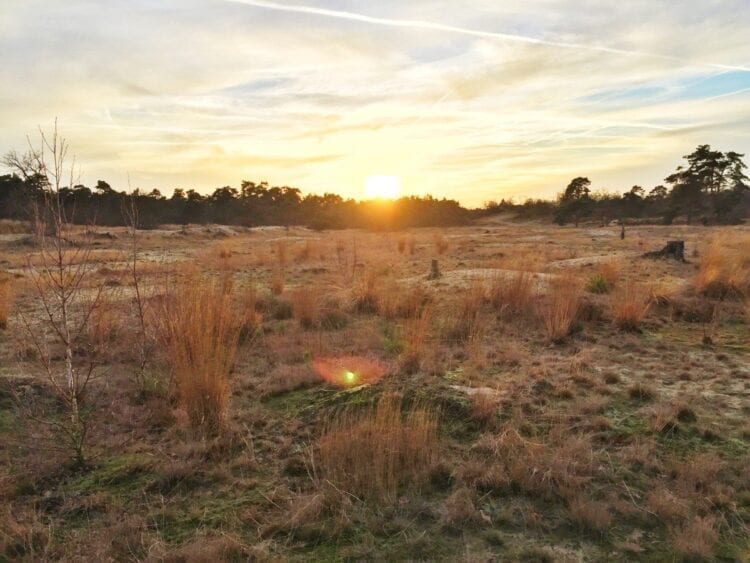 loonse en drunense duinen-The Hike-6