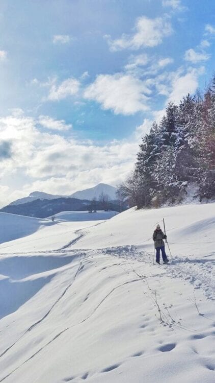 Sneeuwschoenwandelen