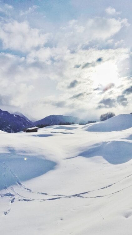 Sneeuwschoenwandelen