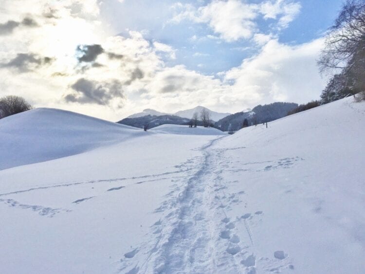 Sneeuwschoenwandelen