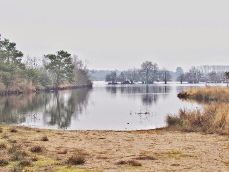 Hike in Brabant