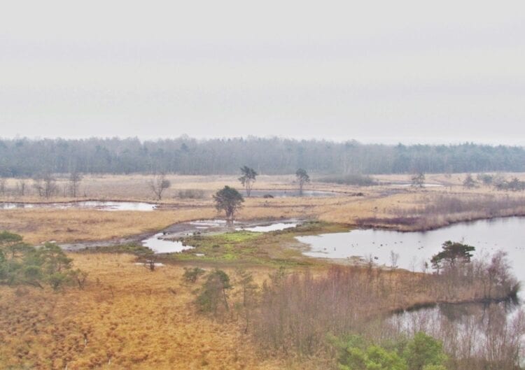 Hike in Brabant