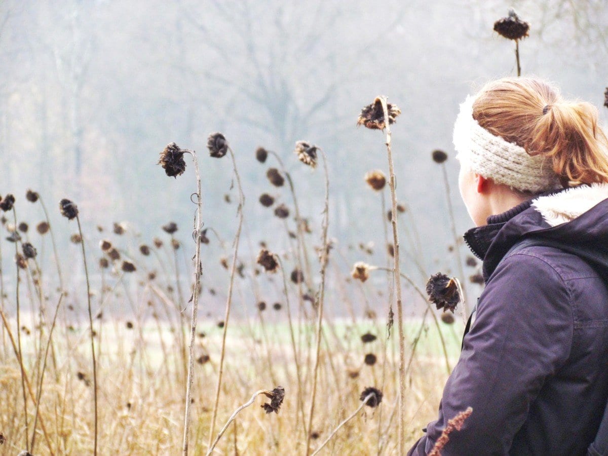 Hike in Brabant