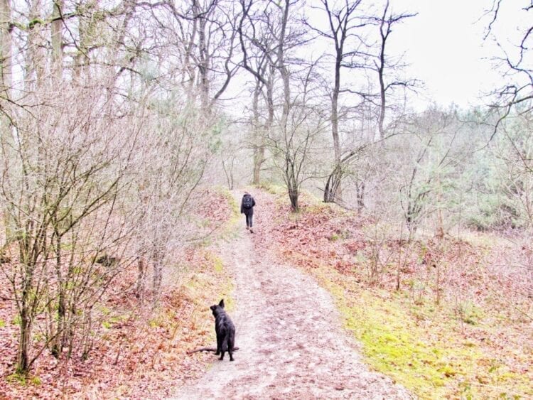 Hike in Brabant