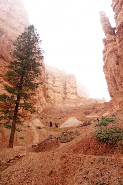 Bryce Canyon-The Hike