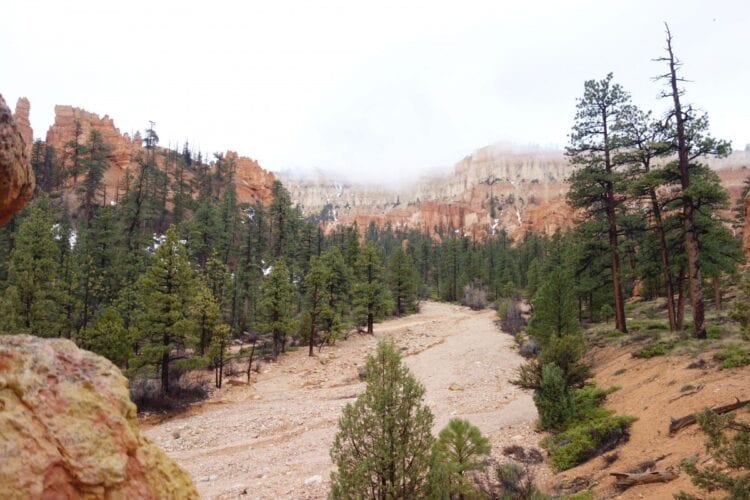 Bryce Canyon-The Hike