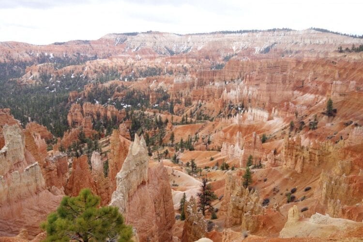 Bryce Canyon-The Hike