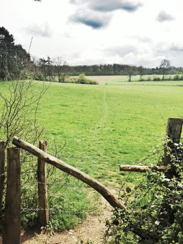 The Hike-avontuur in de ardennen