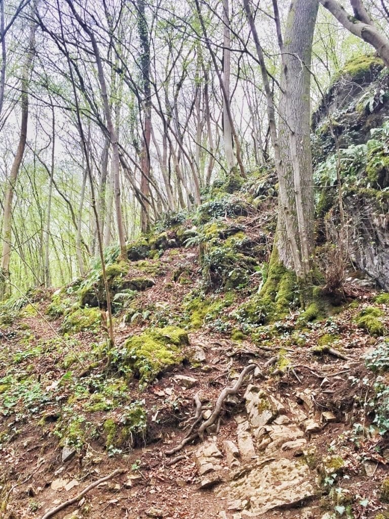 The Hike-avontuur in de ardennen