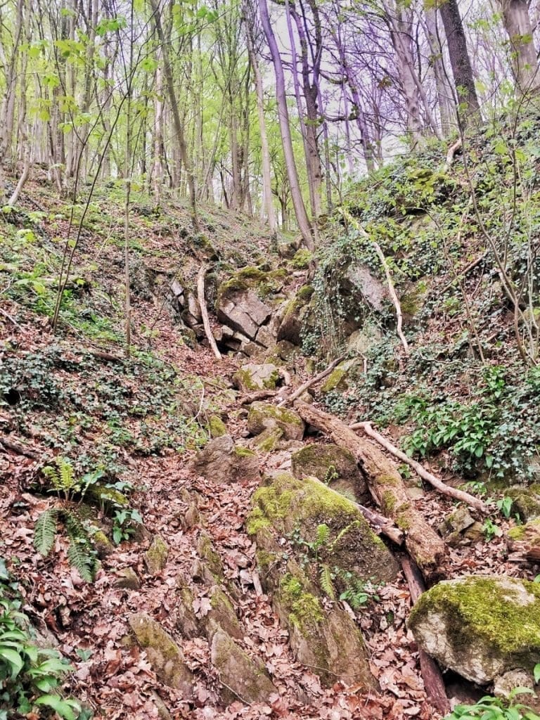 The Hike-avontuur in de ardennen