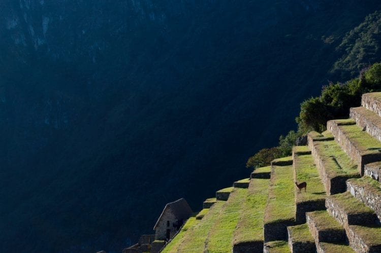 Inca Trail-The Hike-Credits anton jauregui