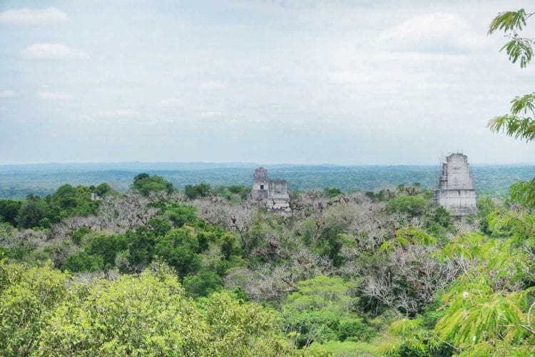 Tikal