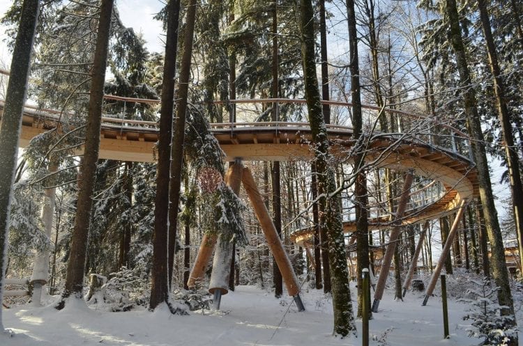 Boomkroonpad-Baumwipfelpfad Neckertal