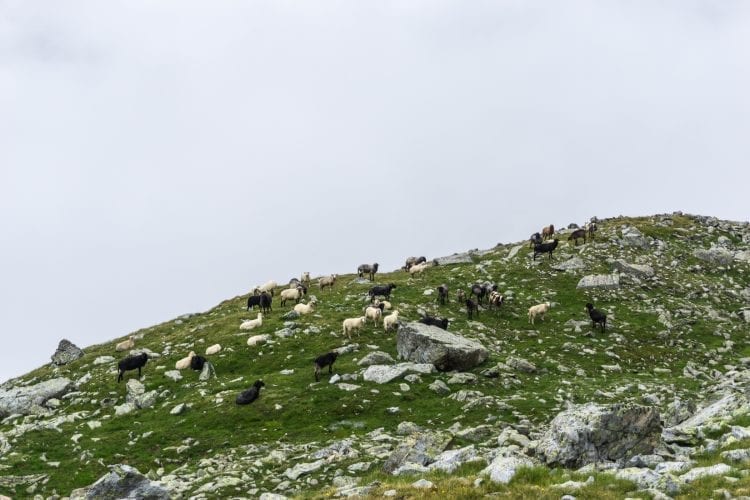 Hochschoberhütte