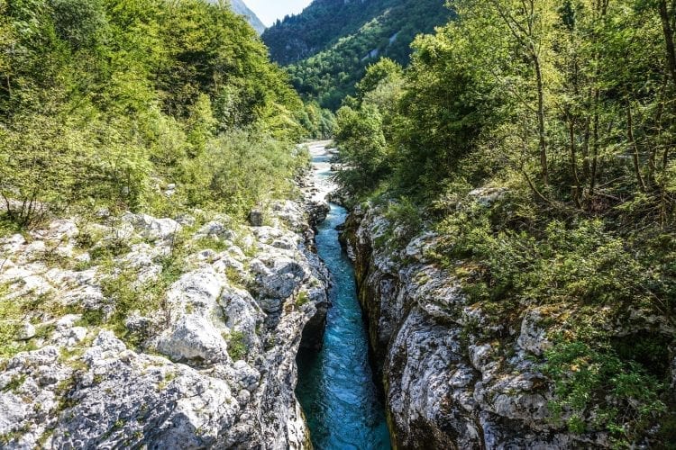 Soča