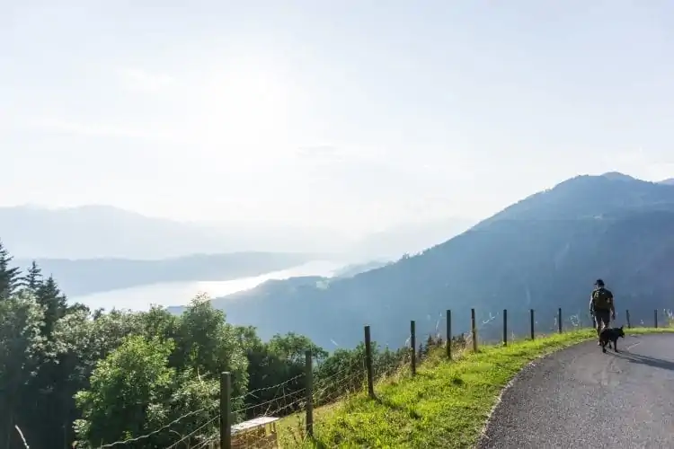 Slowtrail Mirnock