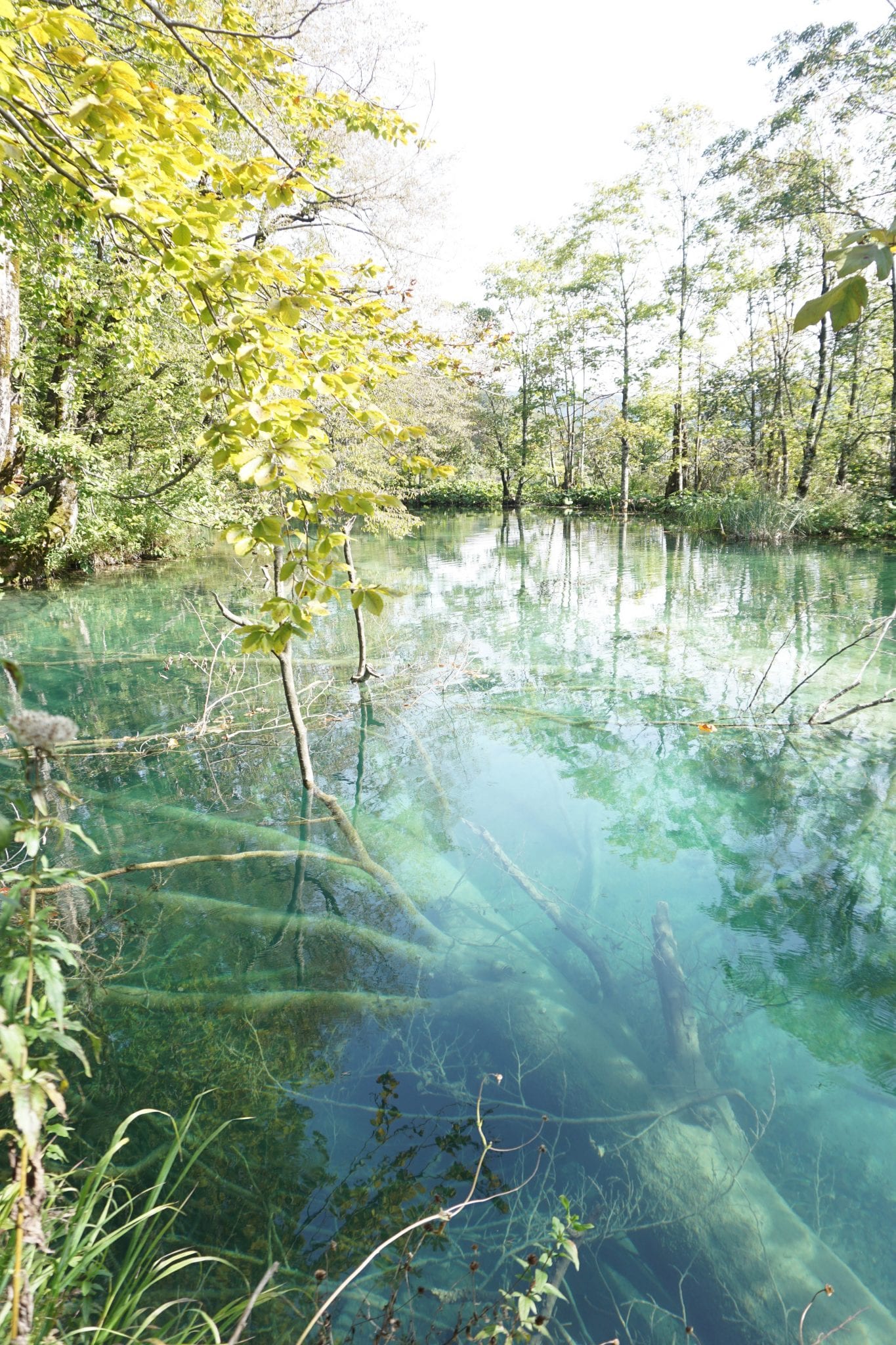 Plitvice National Park 3