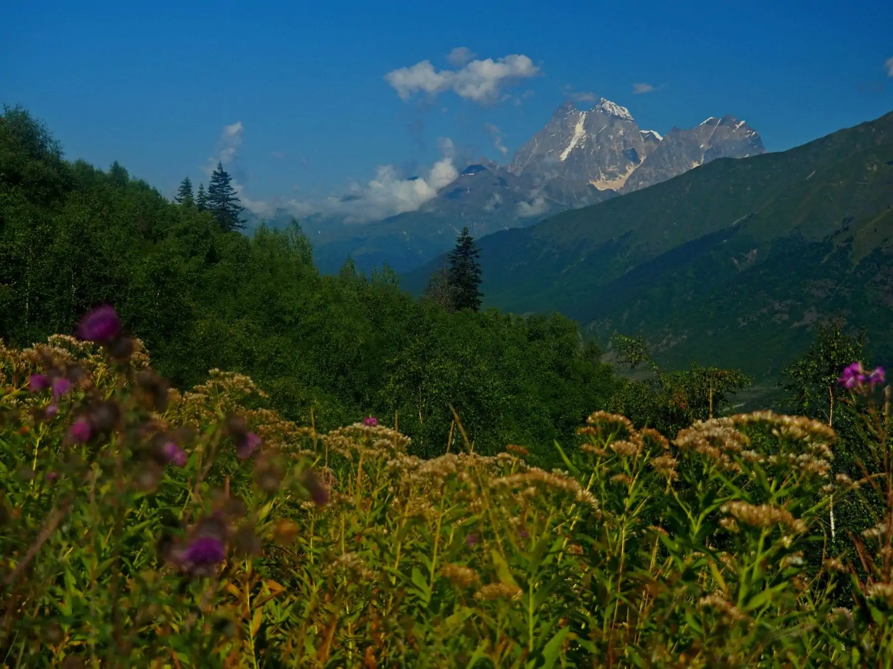 hiken in Georgië