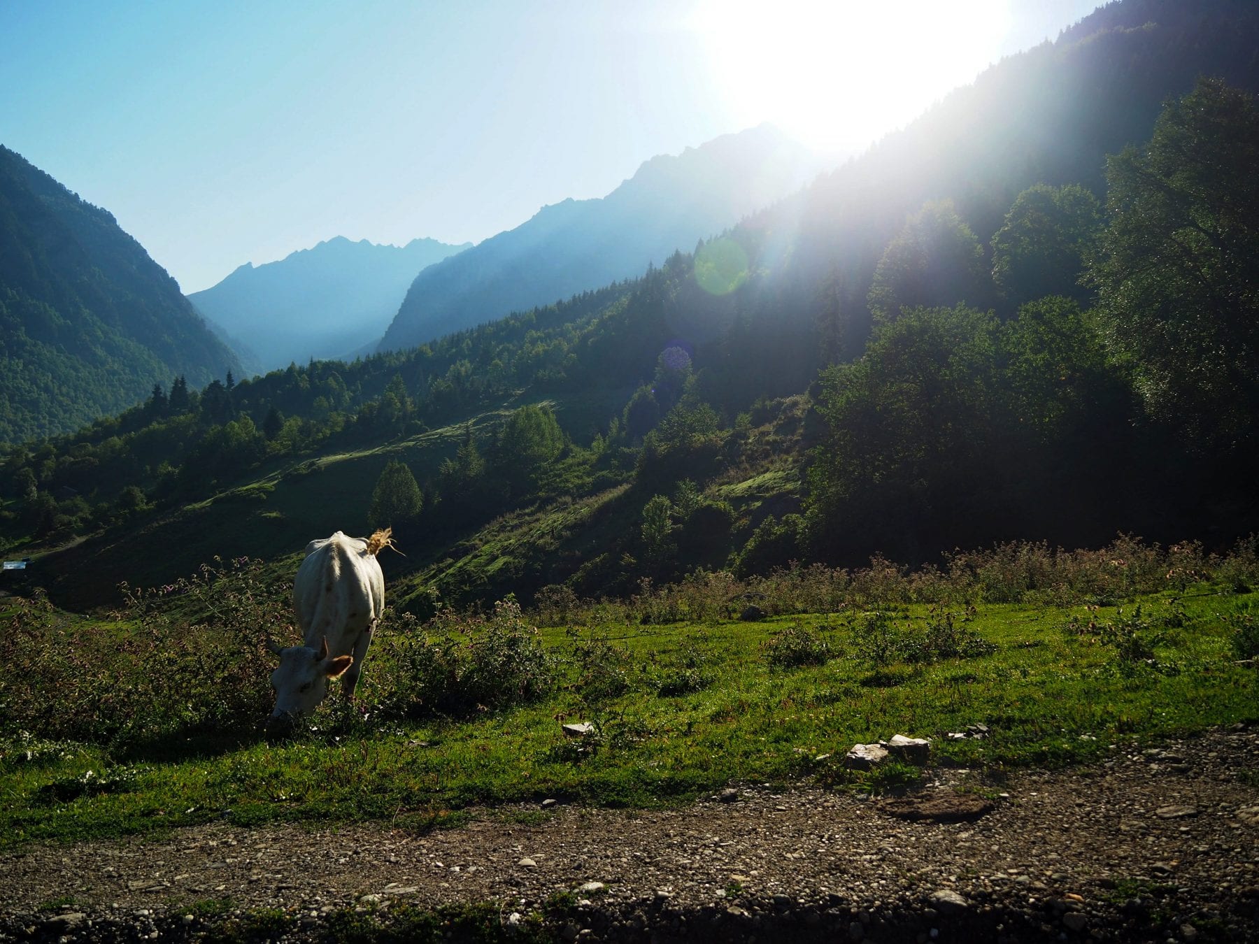 hiken in Georgië