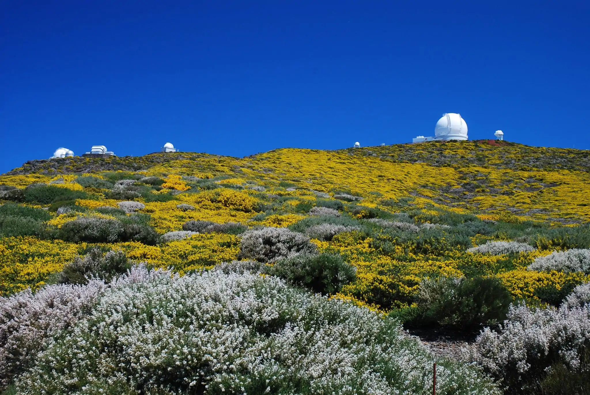 Sterrenhemel op La Palma 2