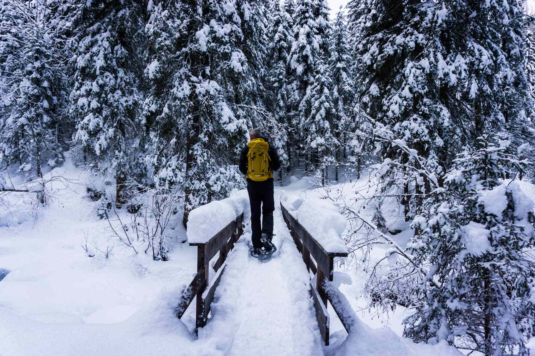 Wintersport in de Vogezen