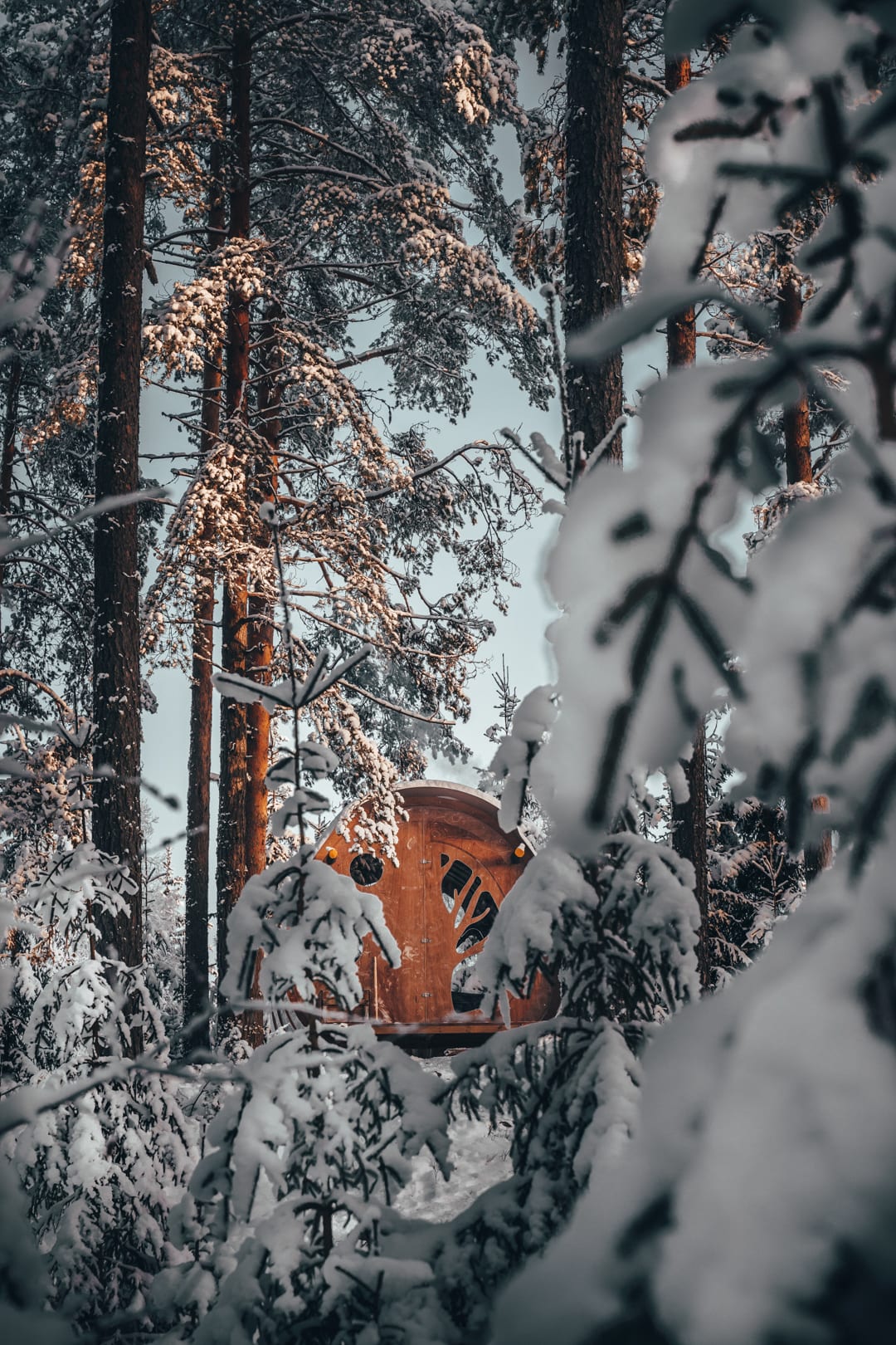 Tree Tents