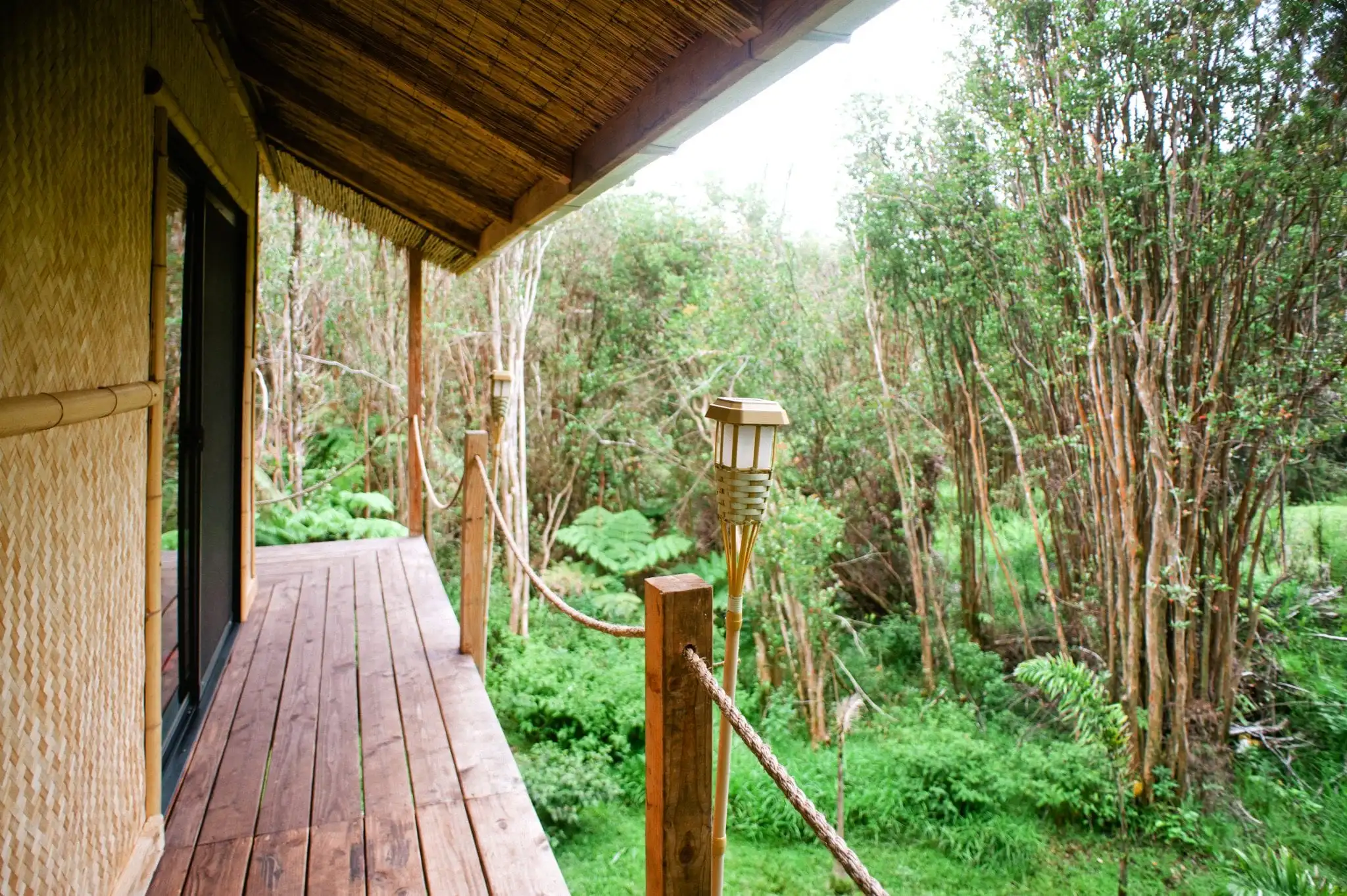 Natuur Airbnb's jungle