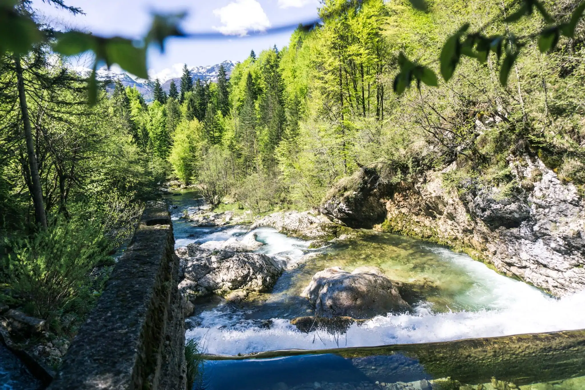 Mooiste hike rond het meer van Bohinj