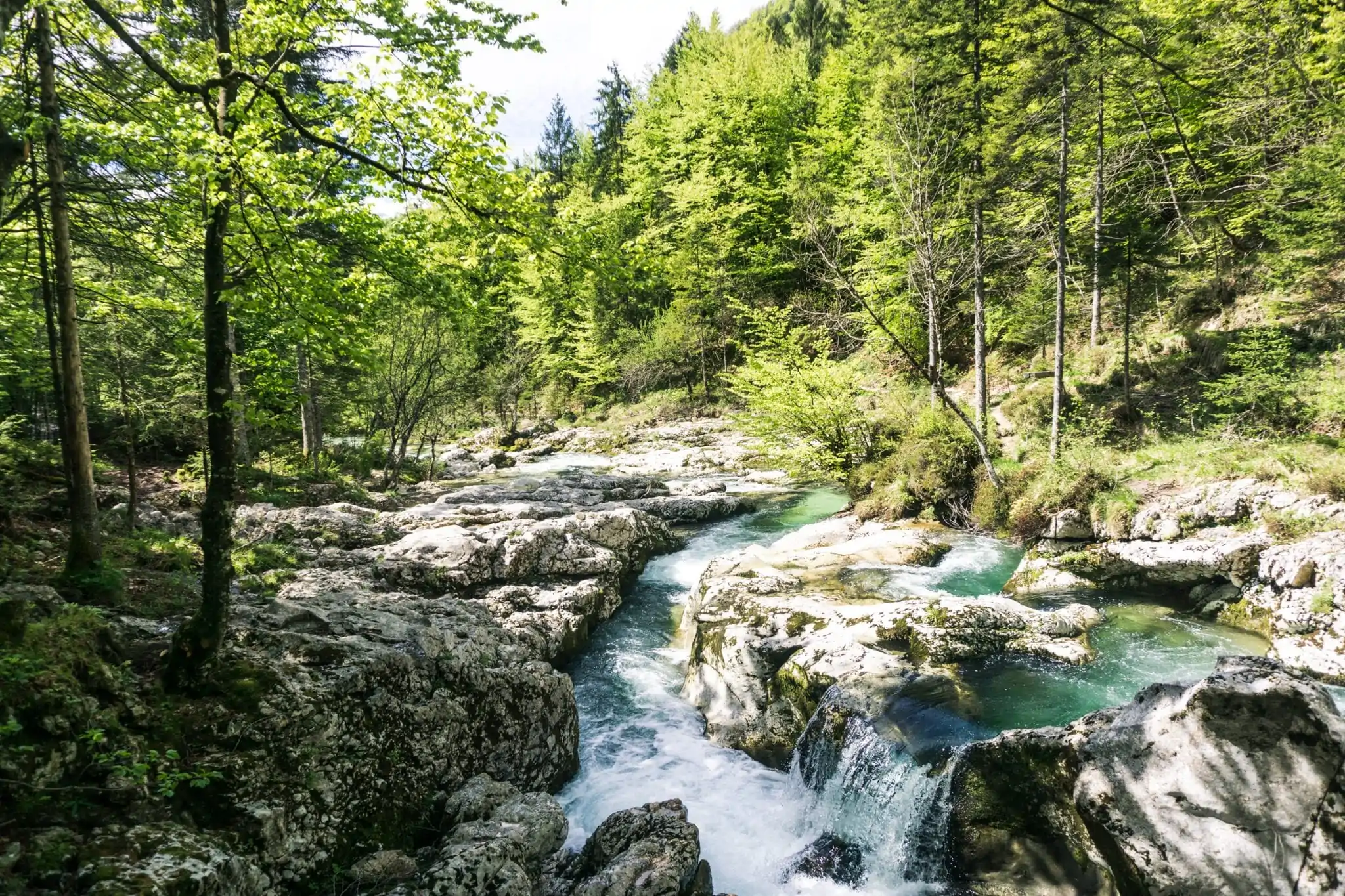 mooiste hike in Bohinj