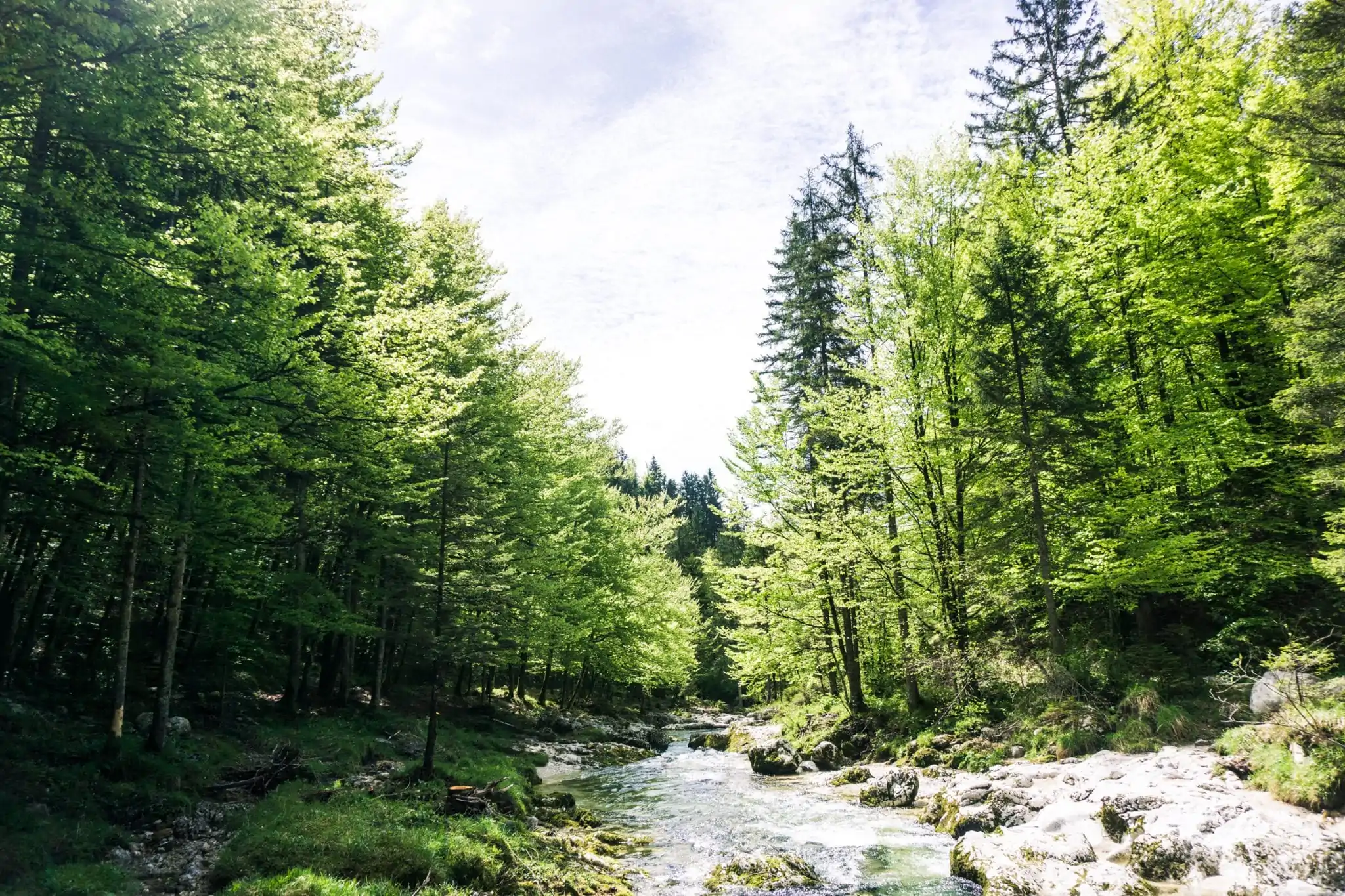 mooiste hike in Bohinj