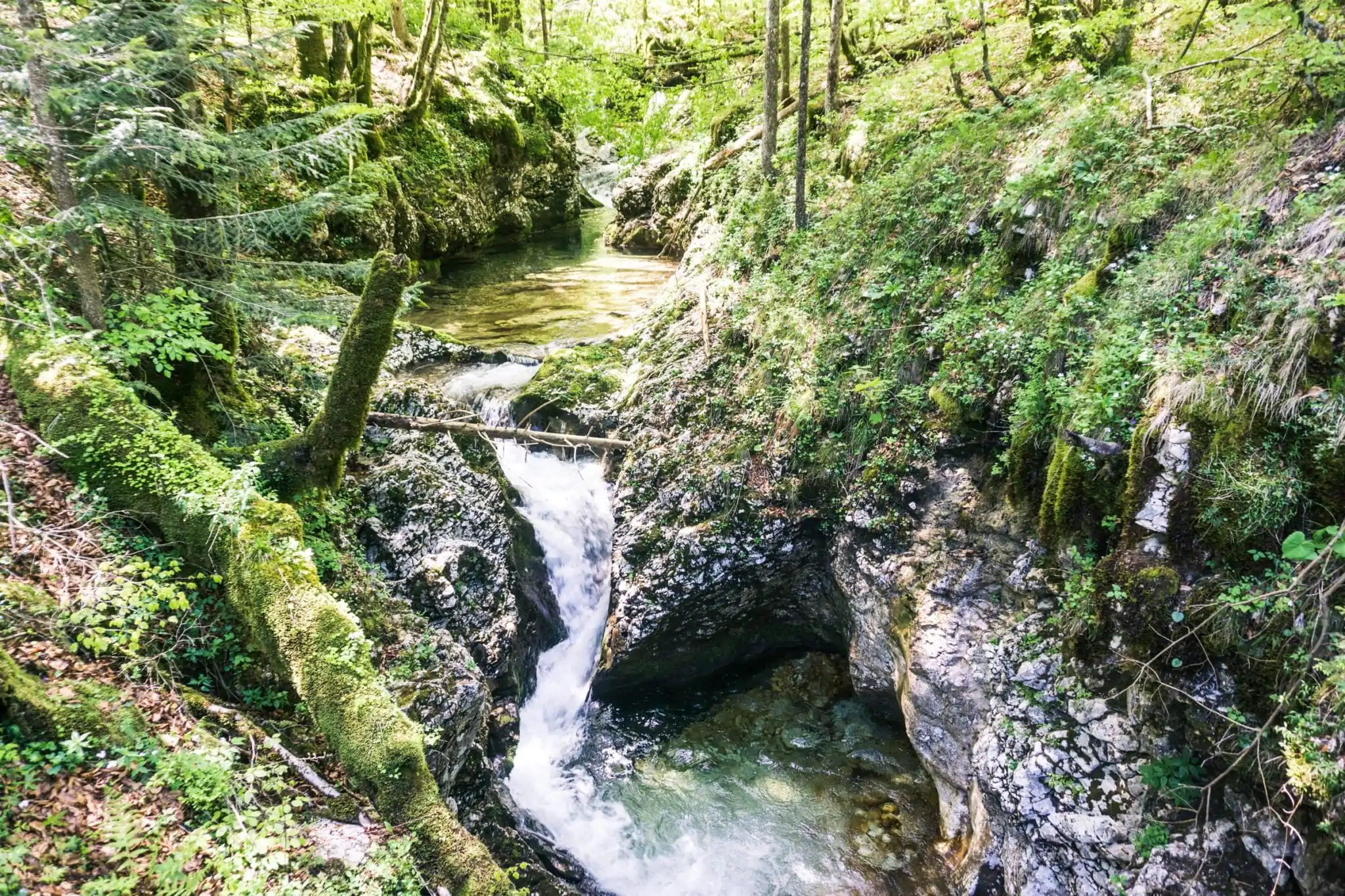 mooiste hike in Bohinj