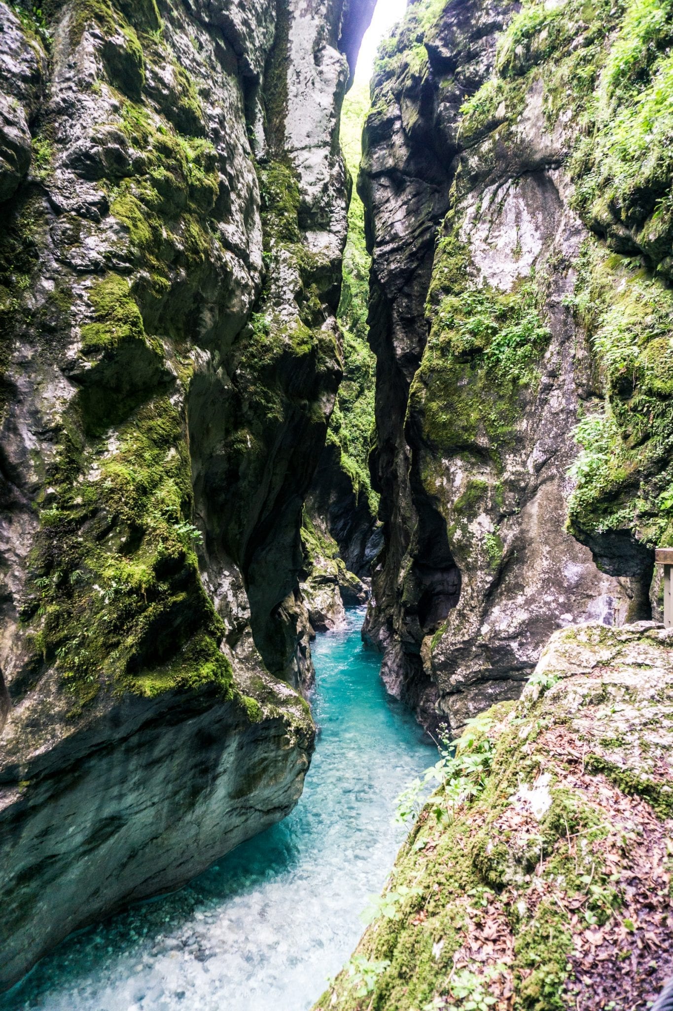 de mooiste gorges van Slovenië