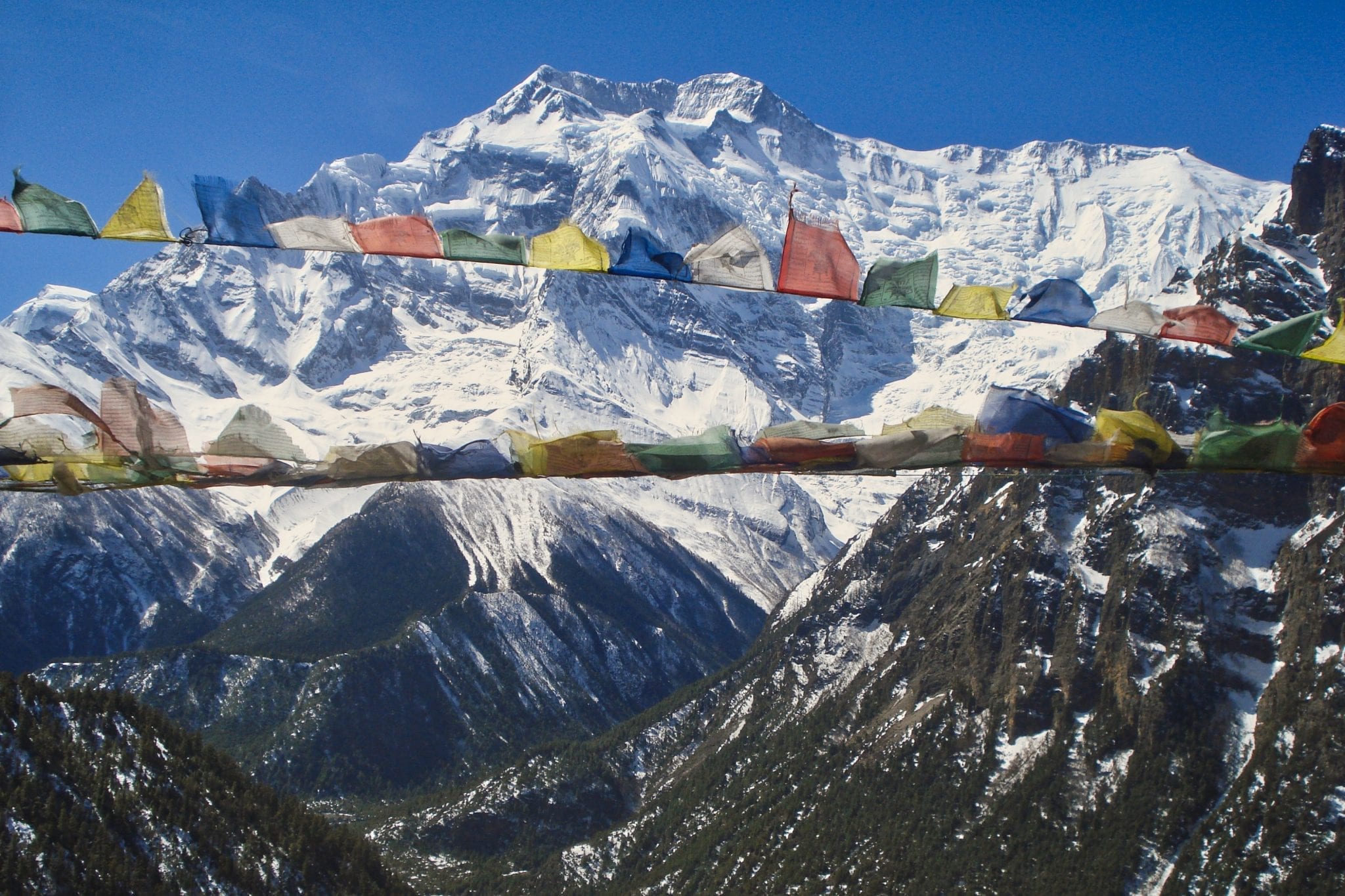 Hike voor het goede doel Nepalese vlaggen