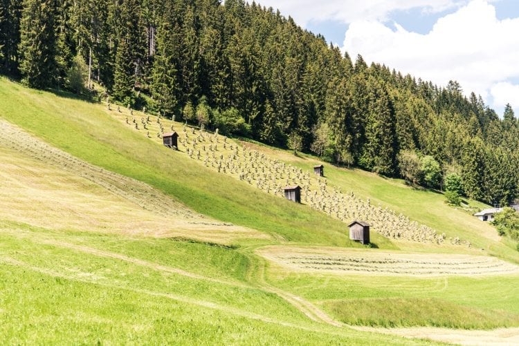 Innsbruck Trek gras drogen