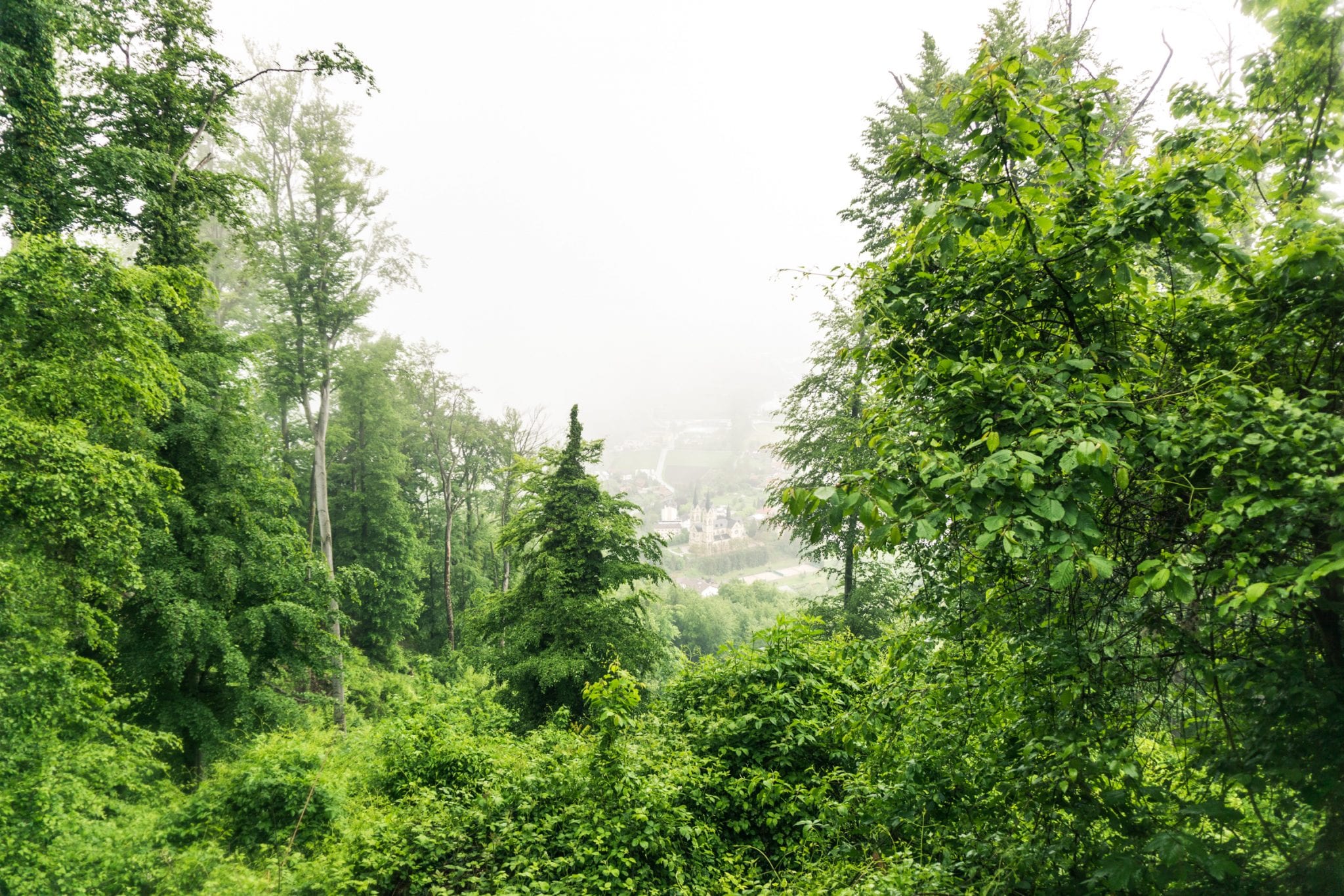 hike in Krško