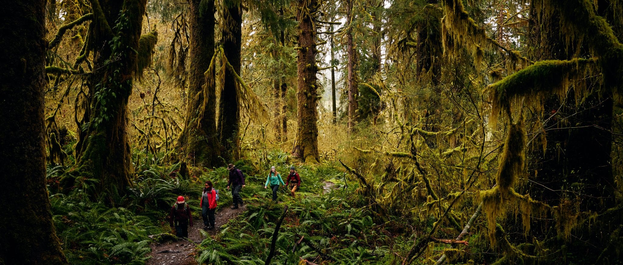 Stilste hike