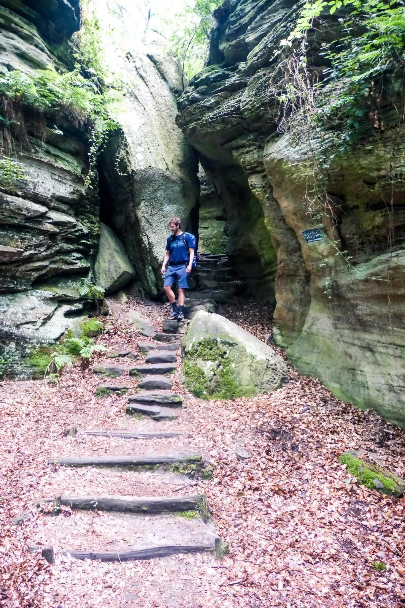 GR5-in-Luxemburg Schlucht