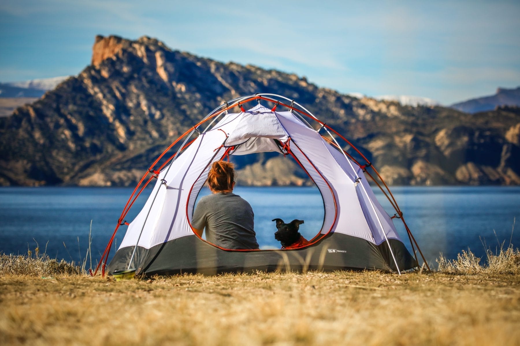 Wildkamperen in Europa Scandinavië